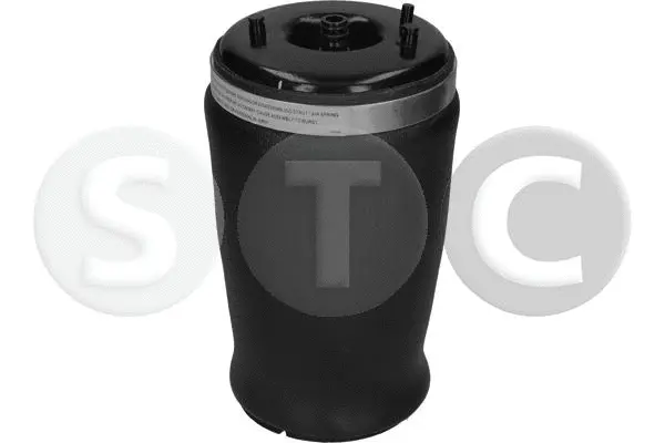 Air Spring, suspension
