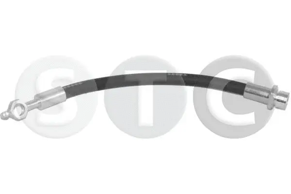 Brake Hose (T496601)