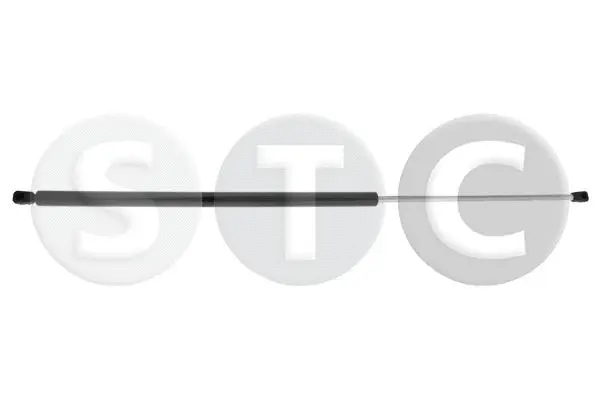 Gas Spring, boot/cargo area (T446229)