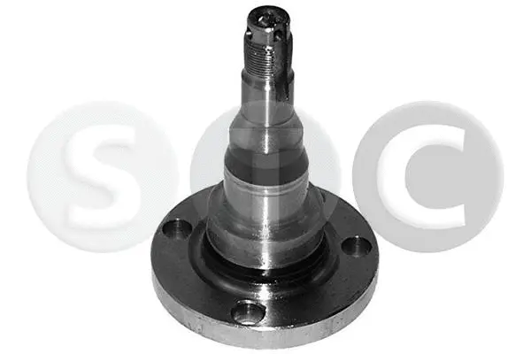 Steering Knuckle, wheel suspension (T490471)