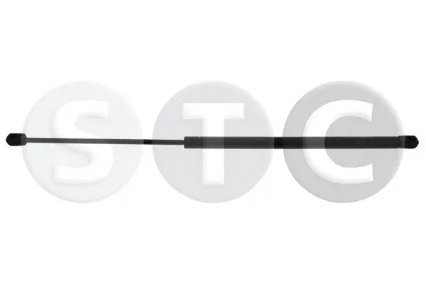 Gas Spring, boot/cargo area (T446878)