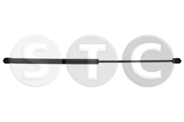 Gas Spring, boot/cargo area (T446420)