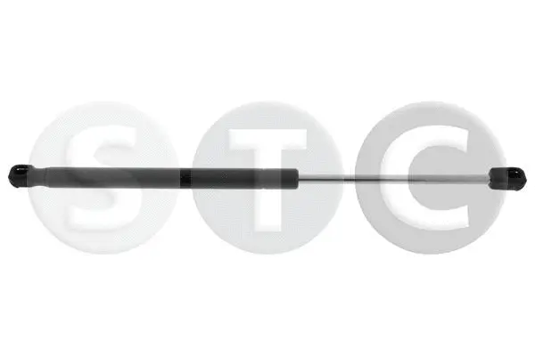 Gas Spring, bonnet (T446484)