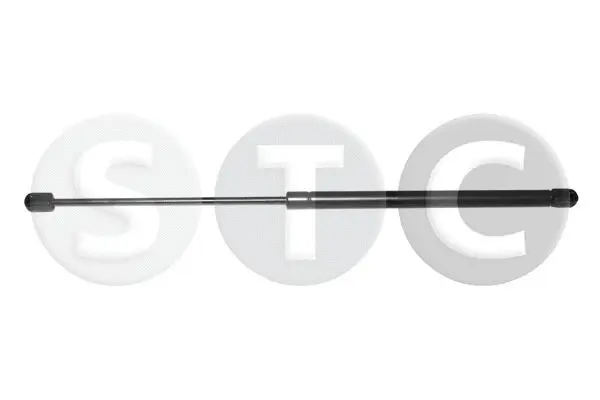 Gas Spring, boot/cargo area (T446629)