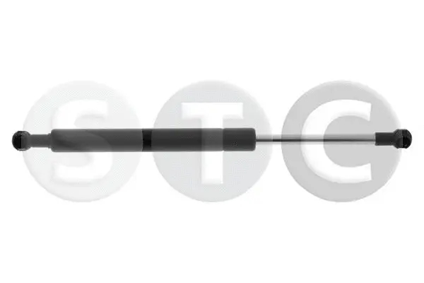 Gas Spring, boot/cargo area (T446822)