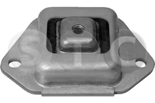 Bushing, axle beam (T405242)