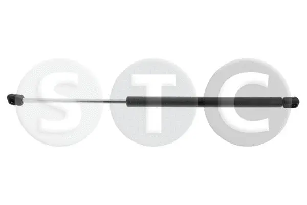 Gas Spring, boot/cargo area (T446522)