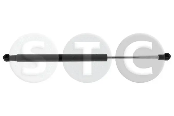 Gas Spring, boot/cargo area (T446334)