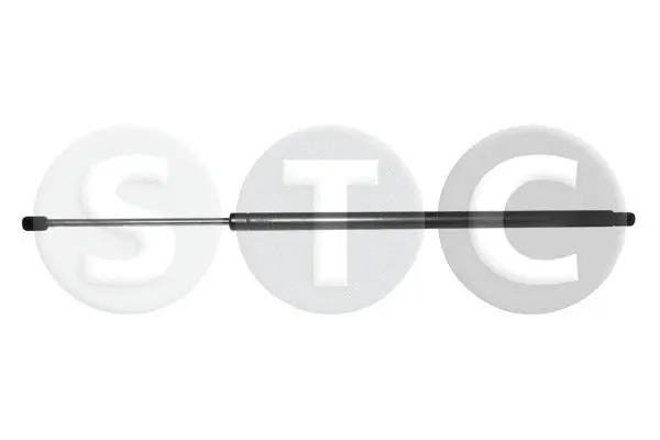 Gas Spring, boot/cargo area (T446809)