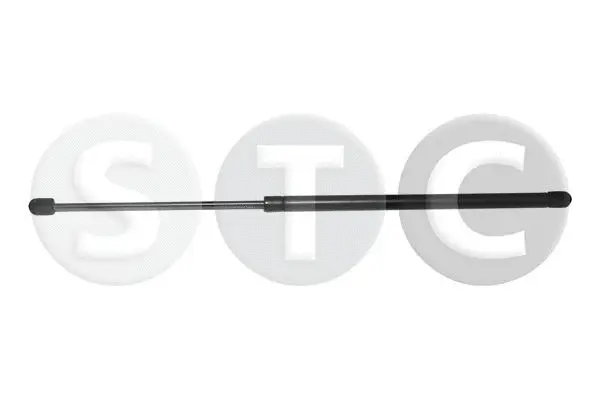 Gas Spring, boot/cargo area (T446428)