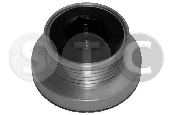 Alternator Freewheel Clutch (T404947)