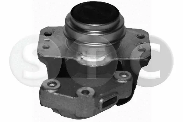 Mounting, engine (T404436)