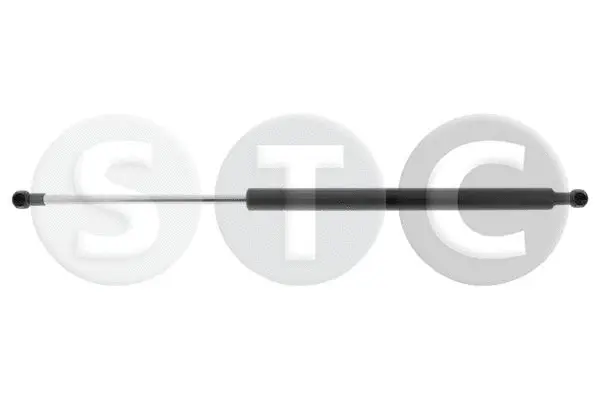 Gas Spring, boot/cargo area (T446138)