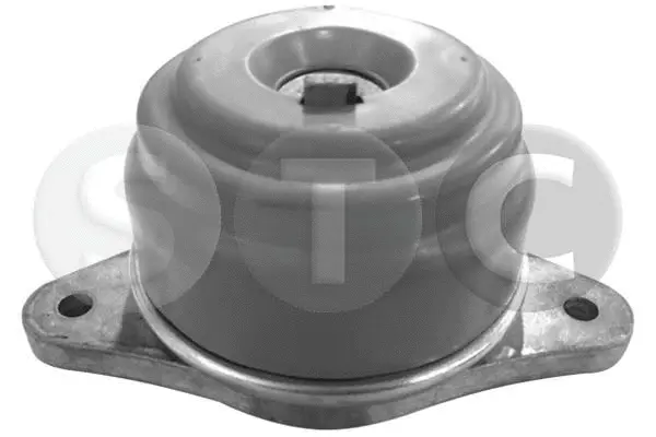 Mounting, engine (T401039)