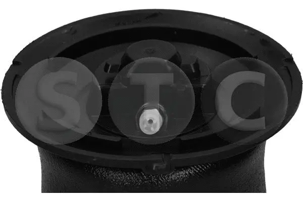Air Spring, suspension