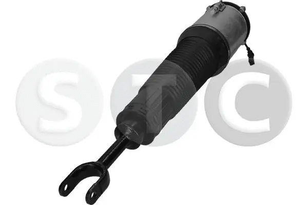 Air Suspension Strut
