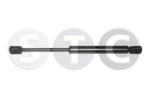 Gas Spring, boot/cargo area (T446216)