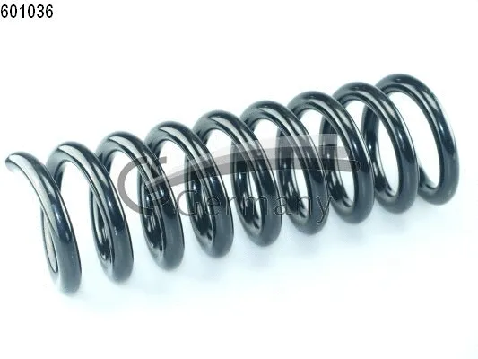Suspension Spring (14.601.036)