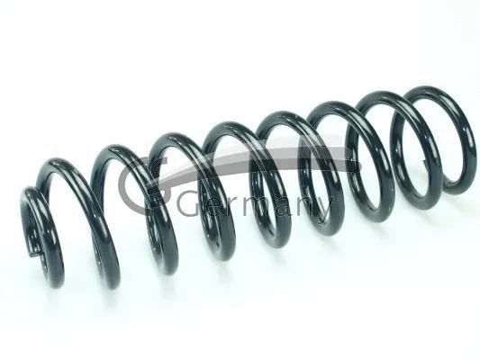 Suspension Spring (14.319.813)