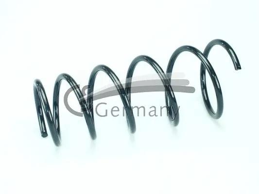 Suspension Spring (14.872.383)