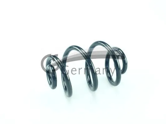 Suspension Spring (14.101.210)