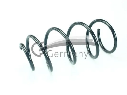 Suspension Spring (14.101.241)