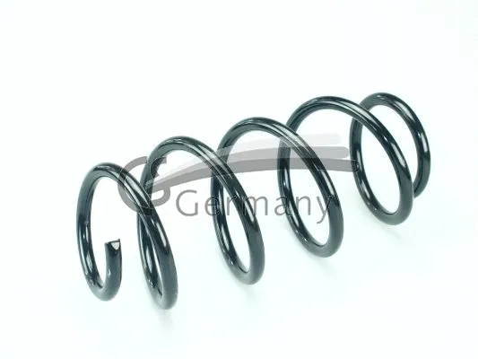 Suspension Spring (14.504.169)