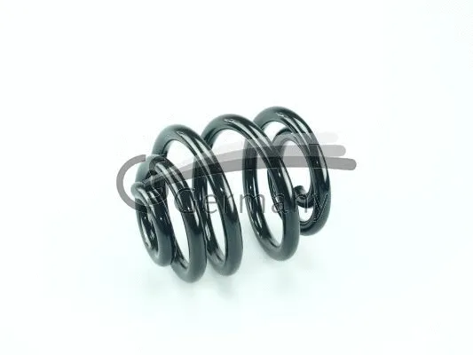 Suspension Spring (14.950.831)