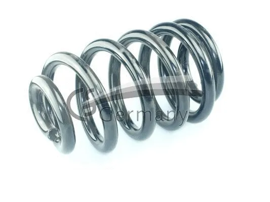 Suspension Spring (14.101.256)