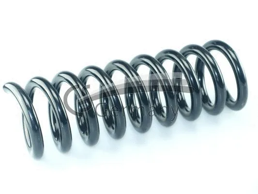Suspension Spring (14.319.574)
