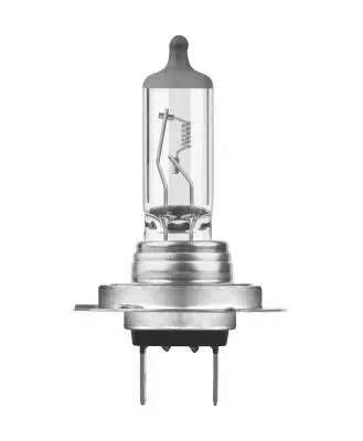 Bulb, spotlight (N499A)