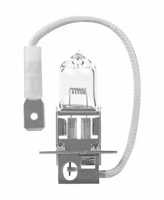 Bulb, spotlight (N460)
