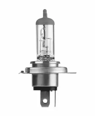 Bulb, spotlight (N484)