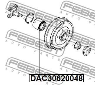 Wheel Bearing (DAC30620048)