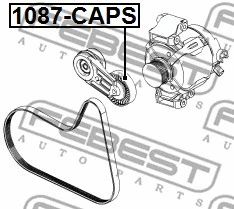 Tensioner Pulley, V-ribbed belt