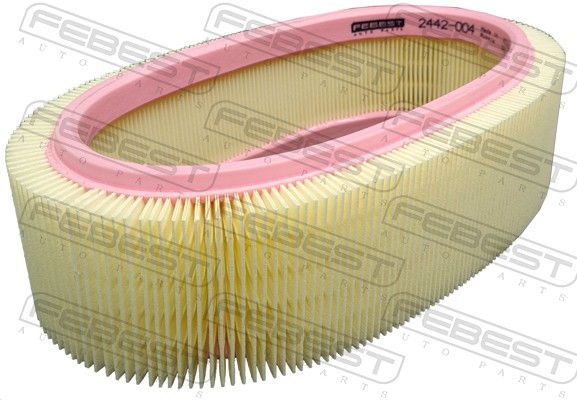 Air Filter (2442-004)