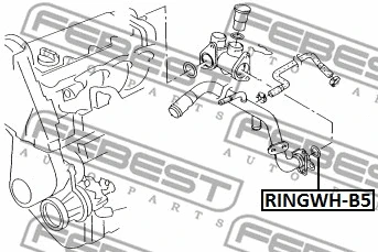 Gasket, coolant flange