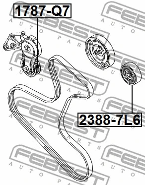 Tensioner Pulley, V-ribbed belt