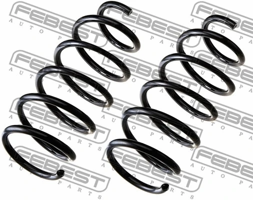 Suspension Set, springs (1808-010F-KIT)