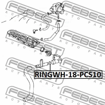 Gasket, coolant flange