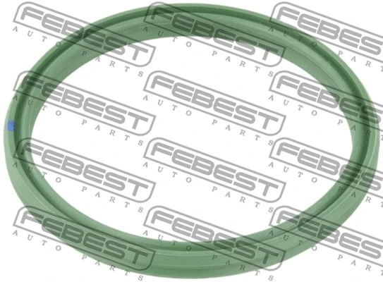 Seal Ring, charge air hose (RINGAH-006)