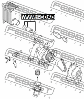 Radiator Hose (VWWH-CDAB)