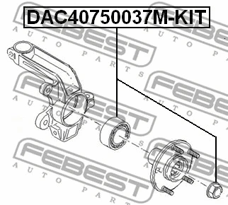 Wheel Bearing