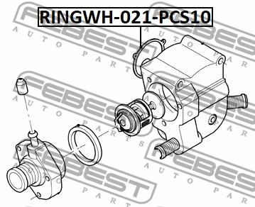 Gasket, coolant flange
