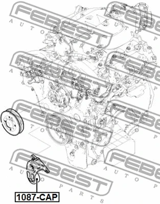 Tensioner Pulley, V-ribbed belt