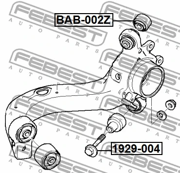Camber Correction Screw