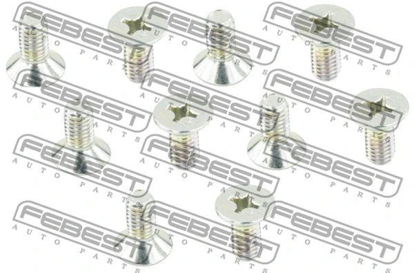 Fastening Bolt, control arm (0398-003-PCS10)