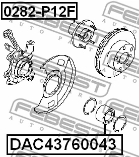 Wheel Bearing