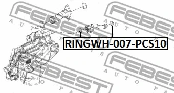 Gasket, coolant flange