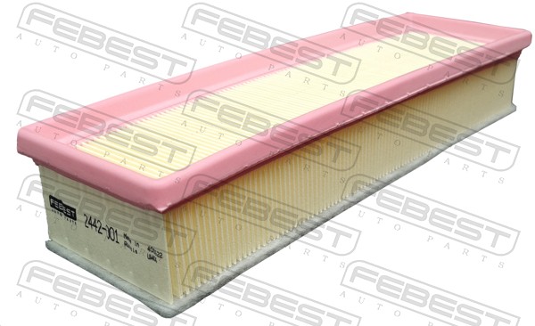 Air Filter (2442-001)